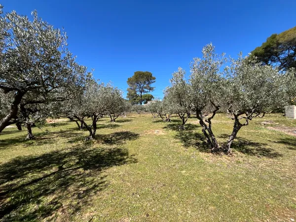 Terrain 1050 m²