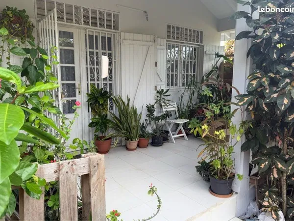 Appartement Location Les Abymes 3p  880€