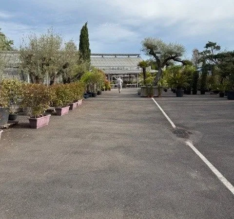 Local 500 m²