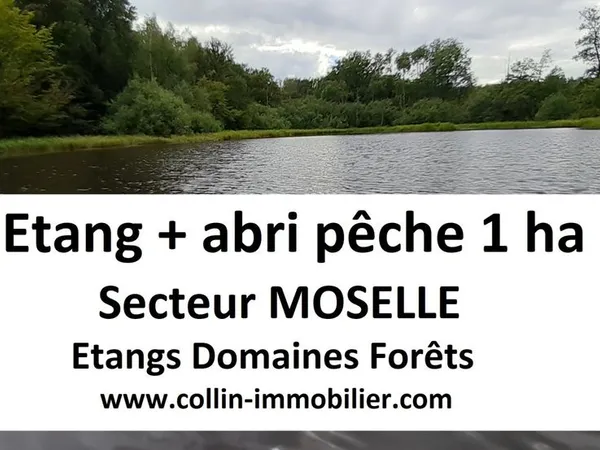 Terrain 10000 m² Sarrebourg