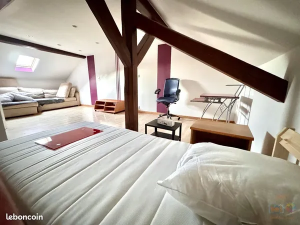Duplex 1 pièce 20 m²