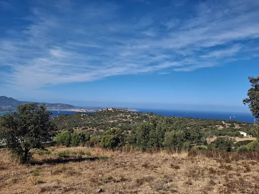 Terrain 2500 m²