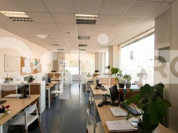 Local commercial 350 m²