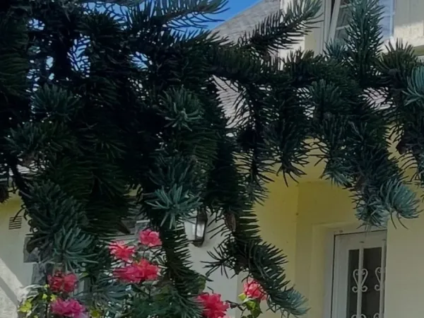 Maison à vendre 4 chambres BON REPOS SUR BLAVET (22)