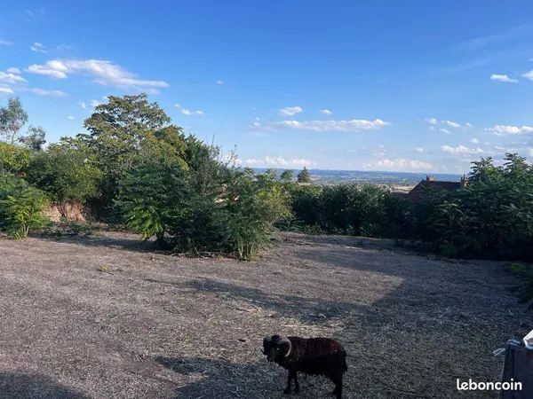 Terrain constructible