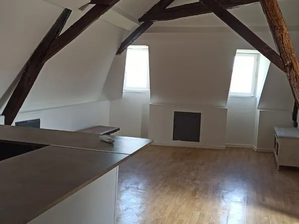 LOFT LUMINEUX 50 m² - BERGERAC CENTRE - FACE AUX HALLES