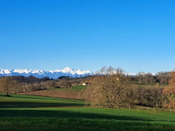 Terrain en individuel 2300 m²