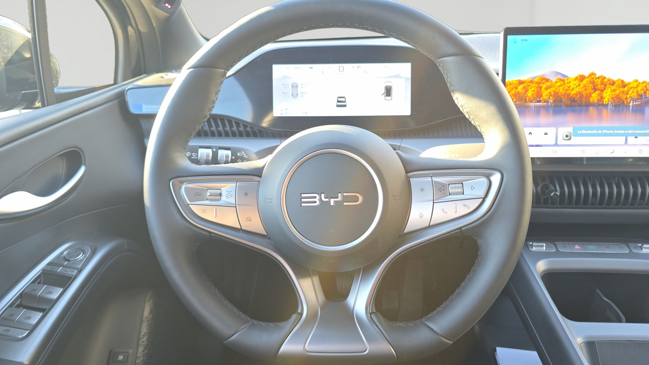 BYD Dolphin G 1.5 DM-i PHEV 212 ch — photo 11