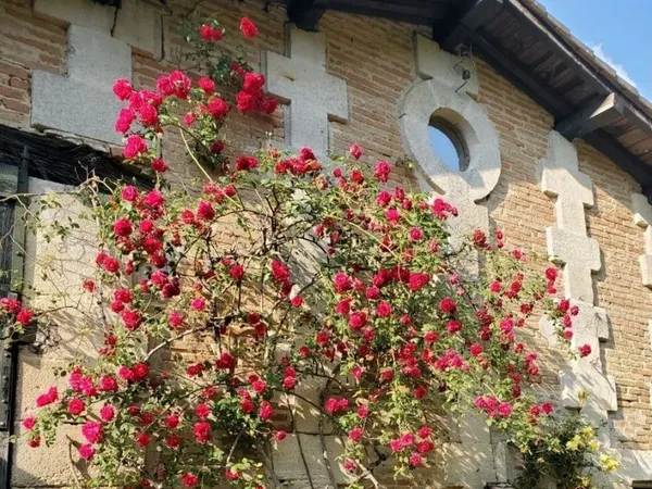 Maison 8 pièces 240 m²