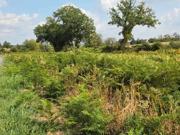 Terrain constructible La Souterraine