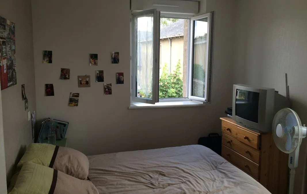 Photo 3