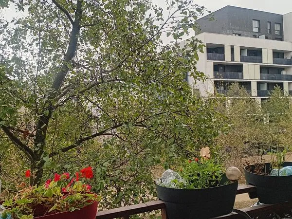 Colocation appartement T2