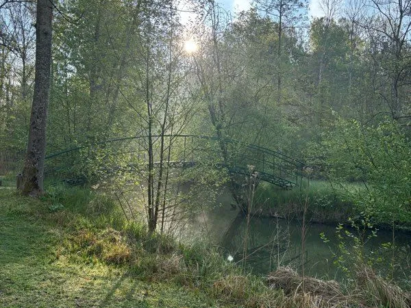 Terrain clôturé avec étang