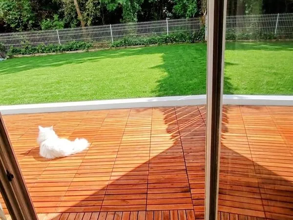 Vente T2 F2 jardin terrasse tram Montpellier