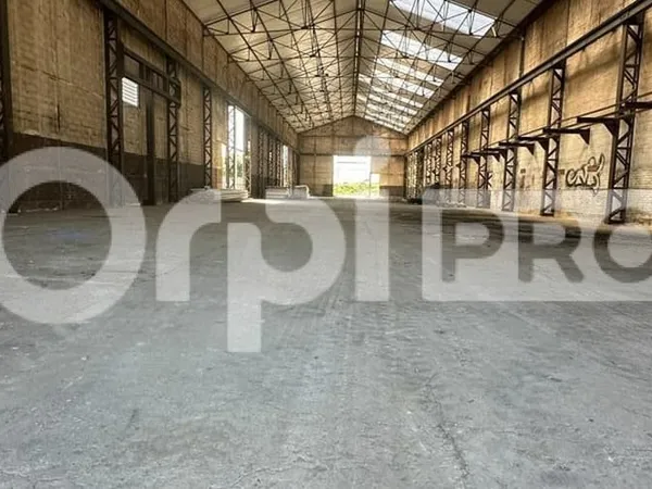 Local d'activité 700 m²