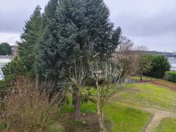 Appartement T4 de 67 m² Balcon Cave