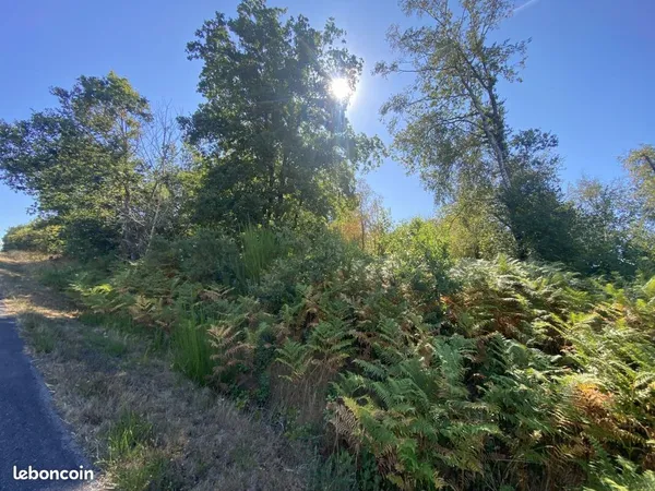 Terrain 9990 m² Billio