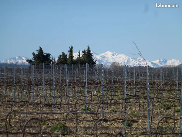 Petite maison à la campagne avec vue sur les Pyrénées - Brugairolles - 70 000