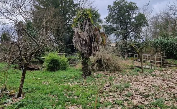 Terrain à bâtir libre de constructeur