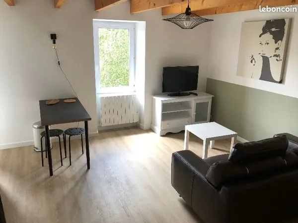 Duplex 1 pièce 35 m²