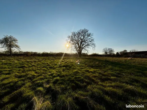 Terrain viabilisé 5300 m² avec permis de construire - vue dégagée - Boulleret
