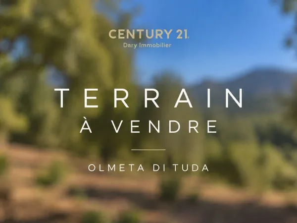 Achat : Terrain Olmeta-di-Tuda (20232)