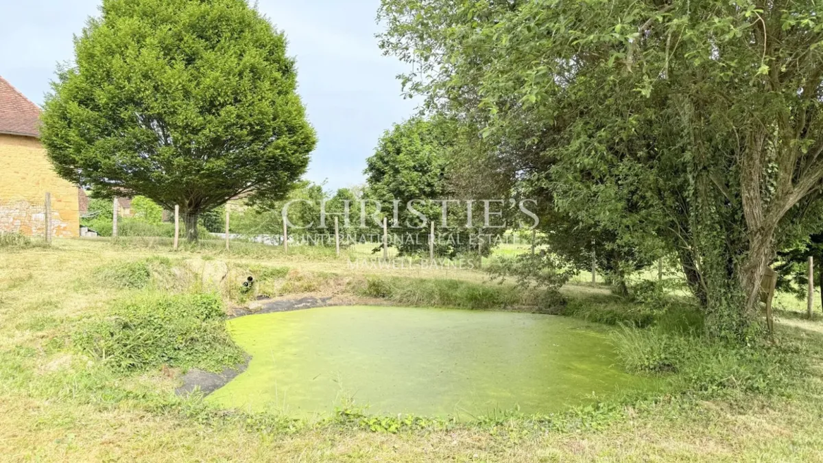 Photo 47