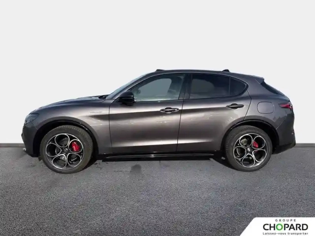 Alfa Romeo Stelvio 2.2 210 ch q4 at8 — photo 10
