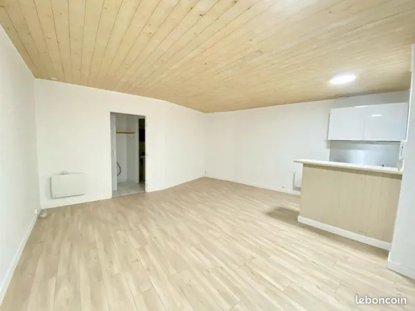 Grand studio rénové 32 m² - Nantes centre / Cathédrale - 499cc