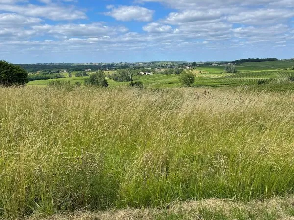 Terrain à bâtir Saint Maixant