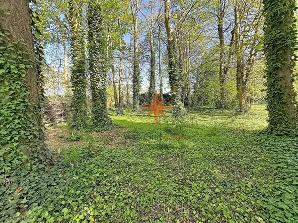 Opportunité rare sur Gournay sur Marne