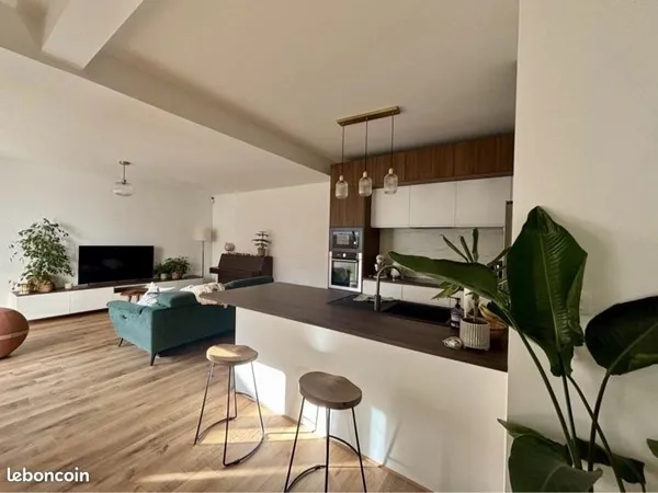 Appartement en duplex - carré saint Martin T4
