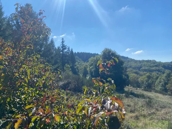 Propriété pleine nature