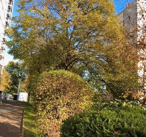 Appartement trois pièces