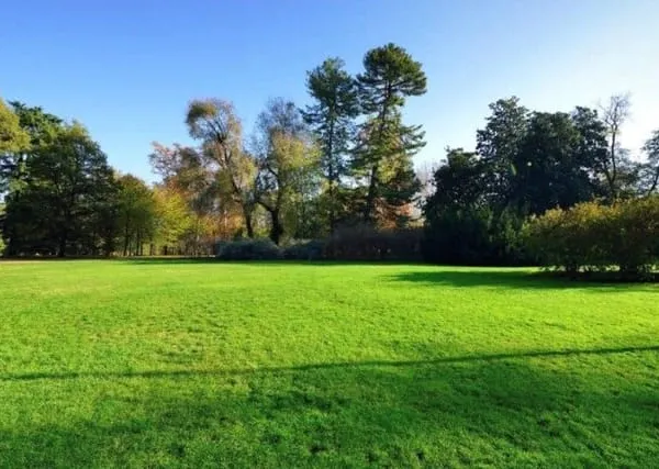 Terrain 263 m²
