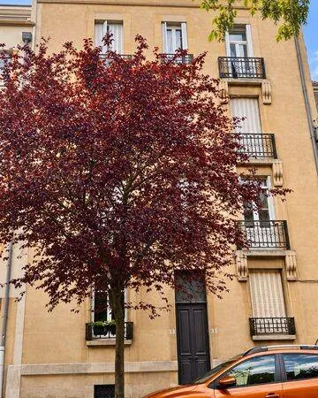 Appartement 3 pièces 49 m²
