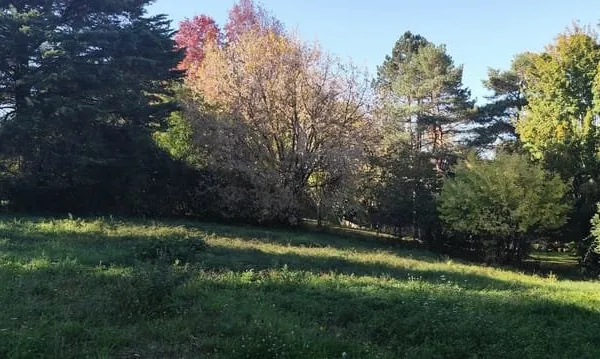 Terrain constructible à vendre - Fontcouverte (17)