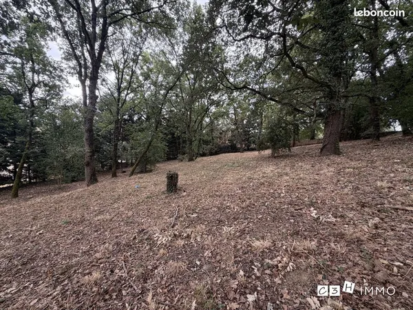 Terrain 1593 m² Miremont