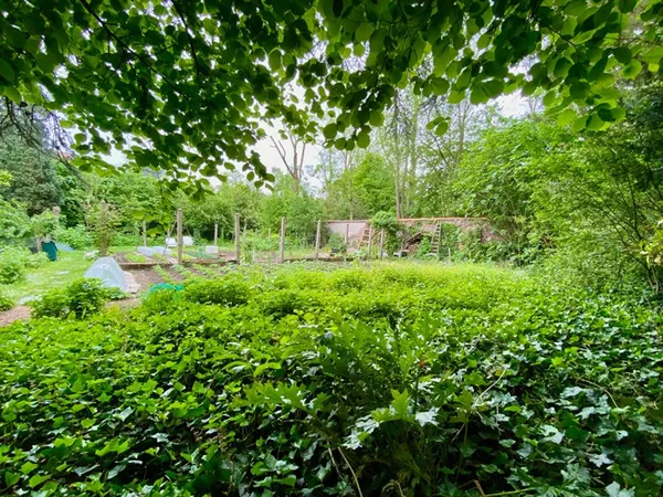Terrain 1172 m²