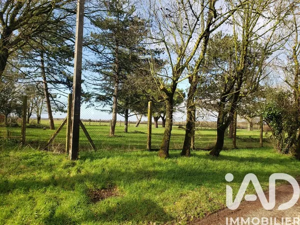 Terrain 3685 m²