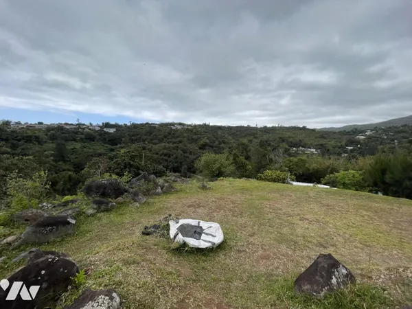 Terrain 2645 m²