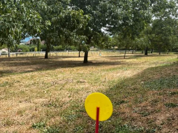 Terrain constructible de 1 000 m²