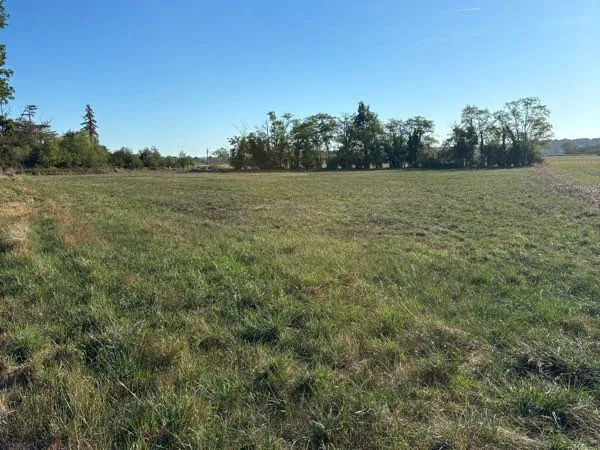 Vend terrain 6000 m2