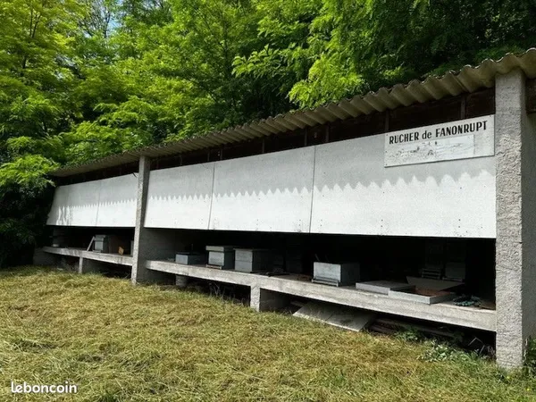 Bien agricole et foncier Vente Tonnoy   8000€