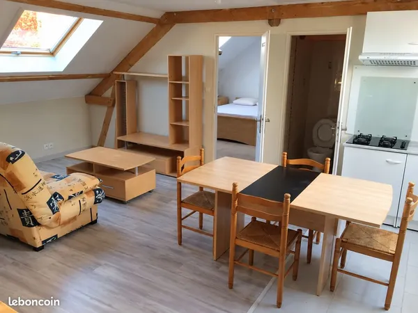 Loue appartement meublé entretenu, 42m2(loi carrez) / 62 m2 au sol, très lumineux, peu énergivore, p