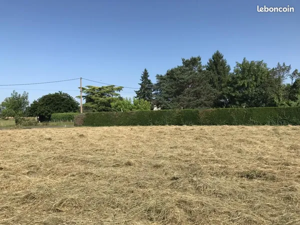 Terrain 1 019 m² Cours De Pile