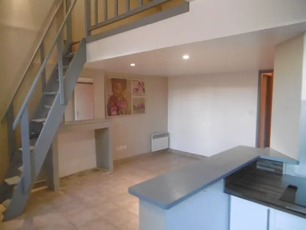 Appartement duplex Tournus