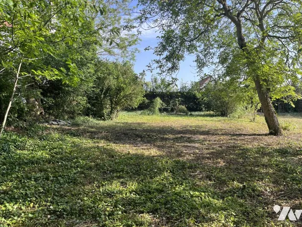 Terrain 397 m²