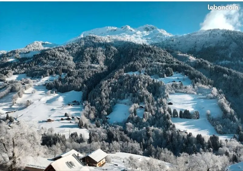 Tous les Local commercial à vendre à Hauteluce (73)