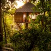 Construire une cabane perchée : conseils et réglementation